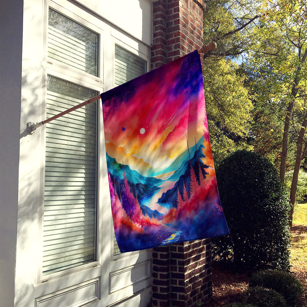 Astilbe in Color House Flag 28x40 Porch Sleeve Pole Decorative Outside Yard Banner Artwork Wall Hanging, Polyester