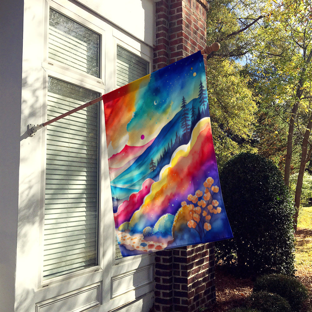 Brunia in Color House Flag 28x40 Porch Sleeve Pole Decorative Outside Yard Banner Artwork Wall Hanging, Polyester
