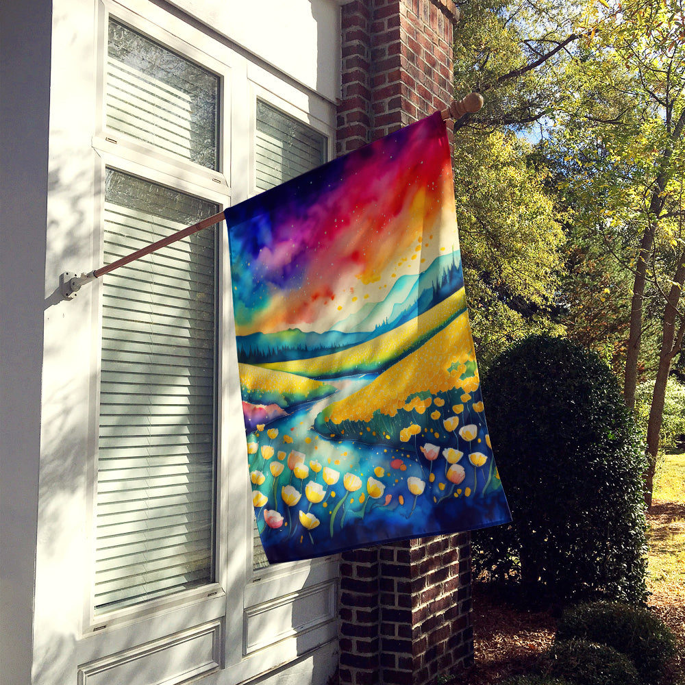 Buttercups in Color House Flag 28x40 Porch Sleeve Pole Decorative Outside Yard Banner Artwork Wall Hanging, Polyester