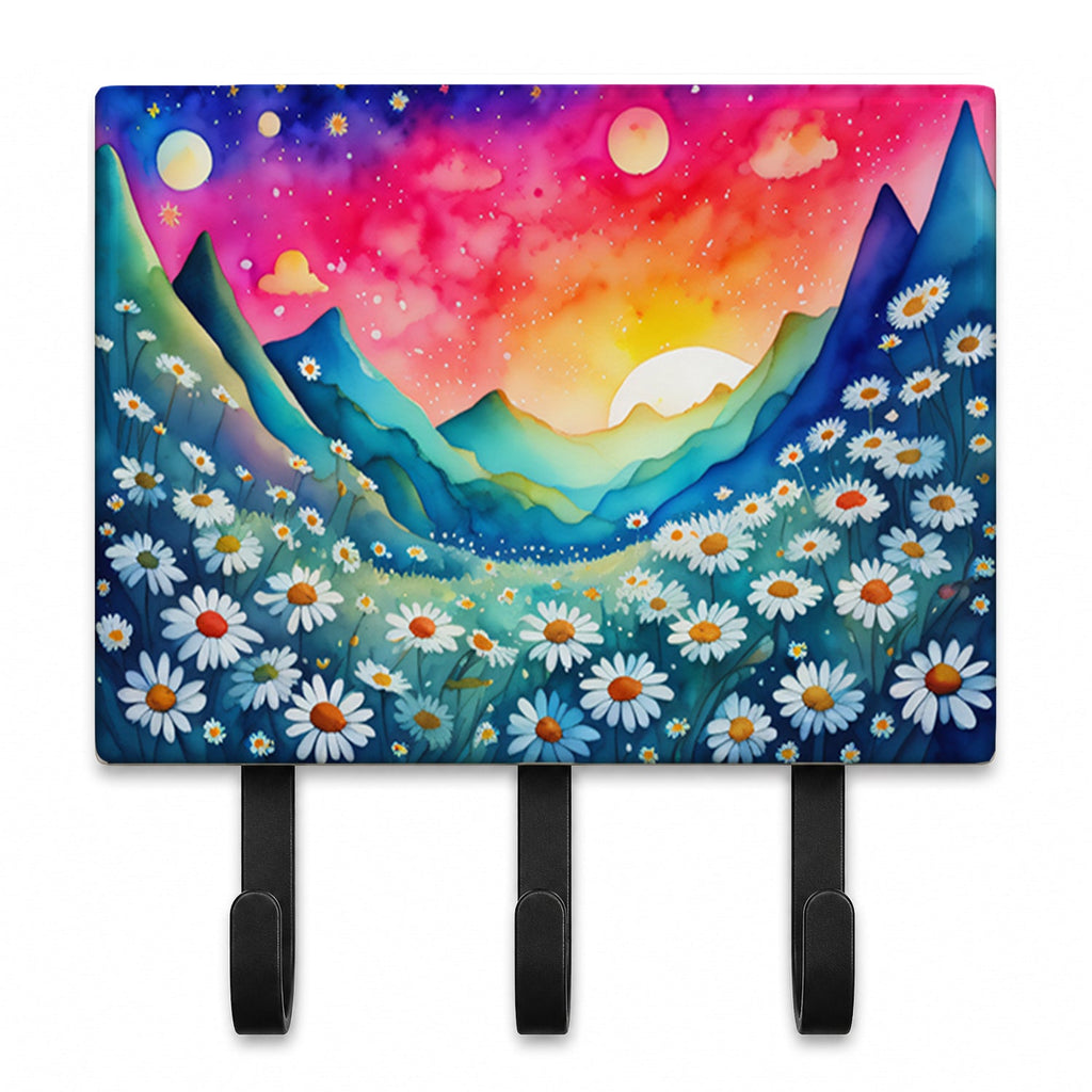 Daisies in Color Leash or Key Holder Wall Hooks, Coat Rack Wall Mount, for Hanging Keys, Towels, Aprons, Leashes
