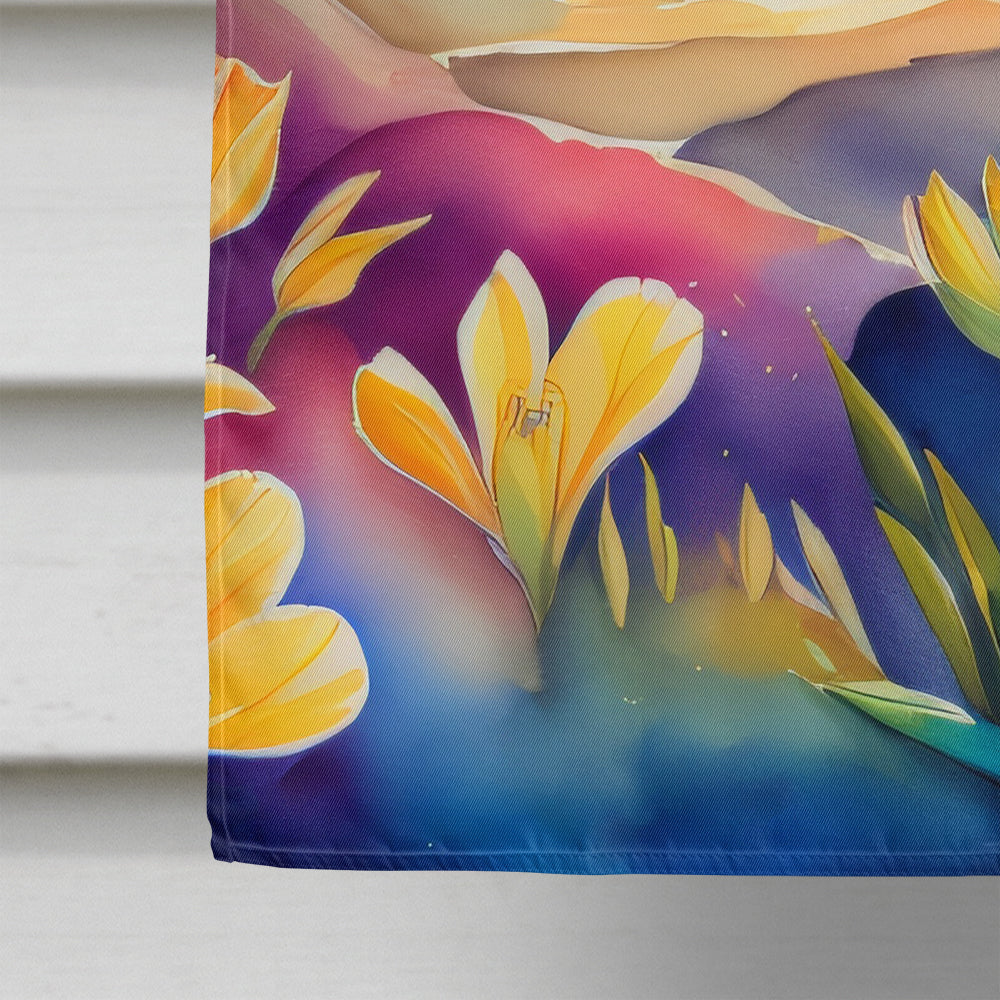 Freesia in Color House Flag 28x40 Porch Sleeve Pole Decorative Outside Yard Banner Artwork Wall Hanging, Polyester
