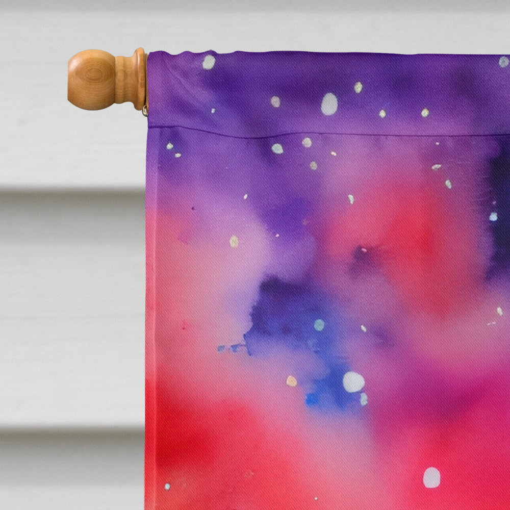 Gypsophila in Color House Flag 28x40 Porch Sleeve Pole Decorative Outside Yard Banner Artwork Wall Hanging, Polyester