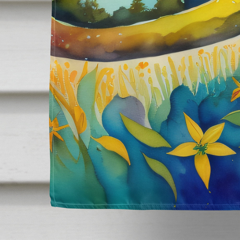 Hypericum or St. John’s Wort in Color House Flag 28x40 Porch Sleeve Pole Decorative Outside Yard Banner Artwork Wall Hanging, Polyester