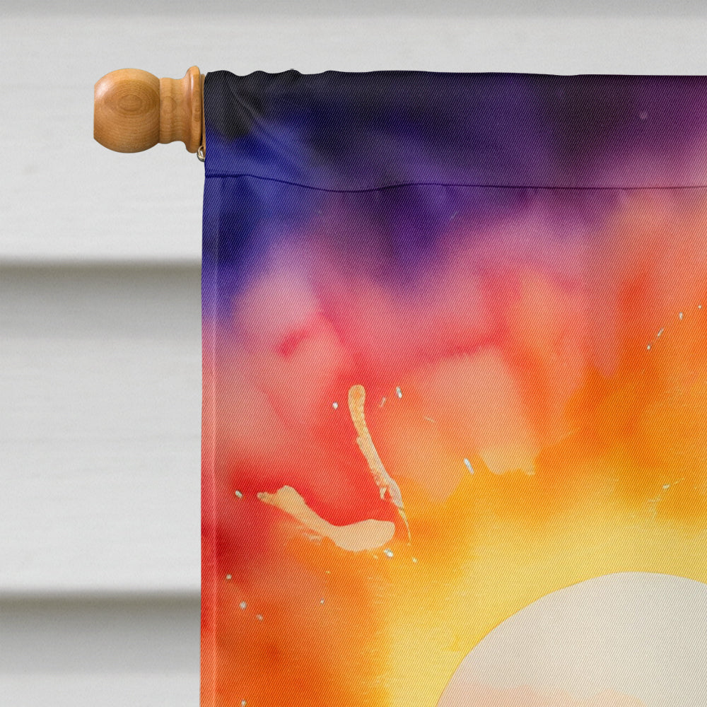 Iris in Color House Flag 28x40 Porch Sleeve Pole Decorative Outside Yard Banner Artwork Wall Hanging, Polyester