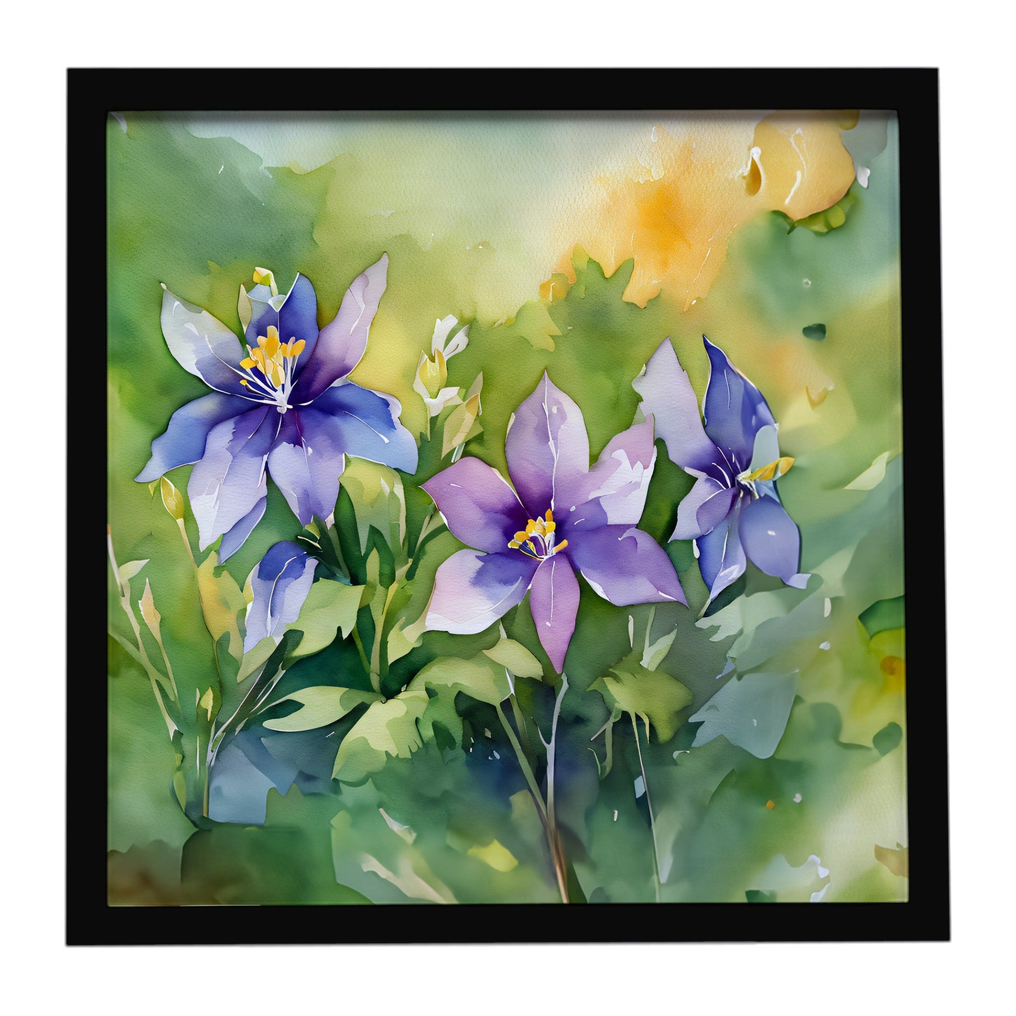 Colorado Rocky Mountain Columbine in Watercolor Framed Metal Print Bathroom, Kitchen, Office, Home Decor Wall Art Ready to Hang, Square, 8X8