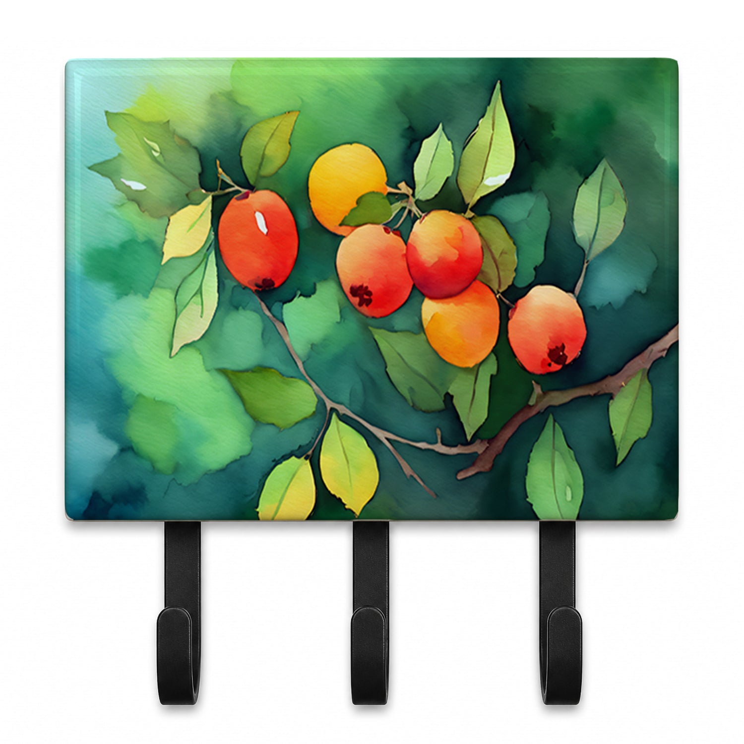Missouri Hawthorns in Watercolor Leash or Key Holder Wall Hooks, Coat Rack Wall Mount, for Hanging Keys, Towels, Aprons, Leashes