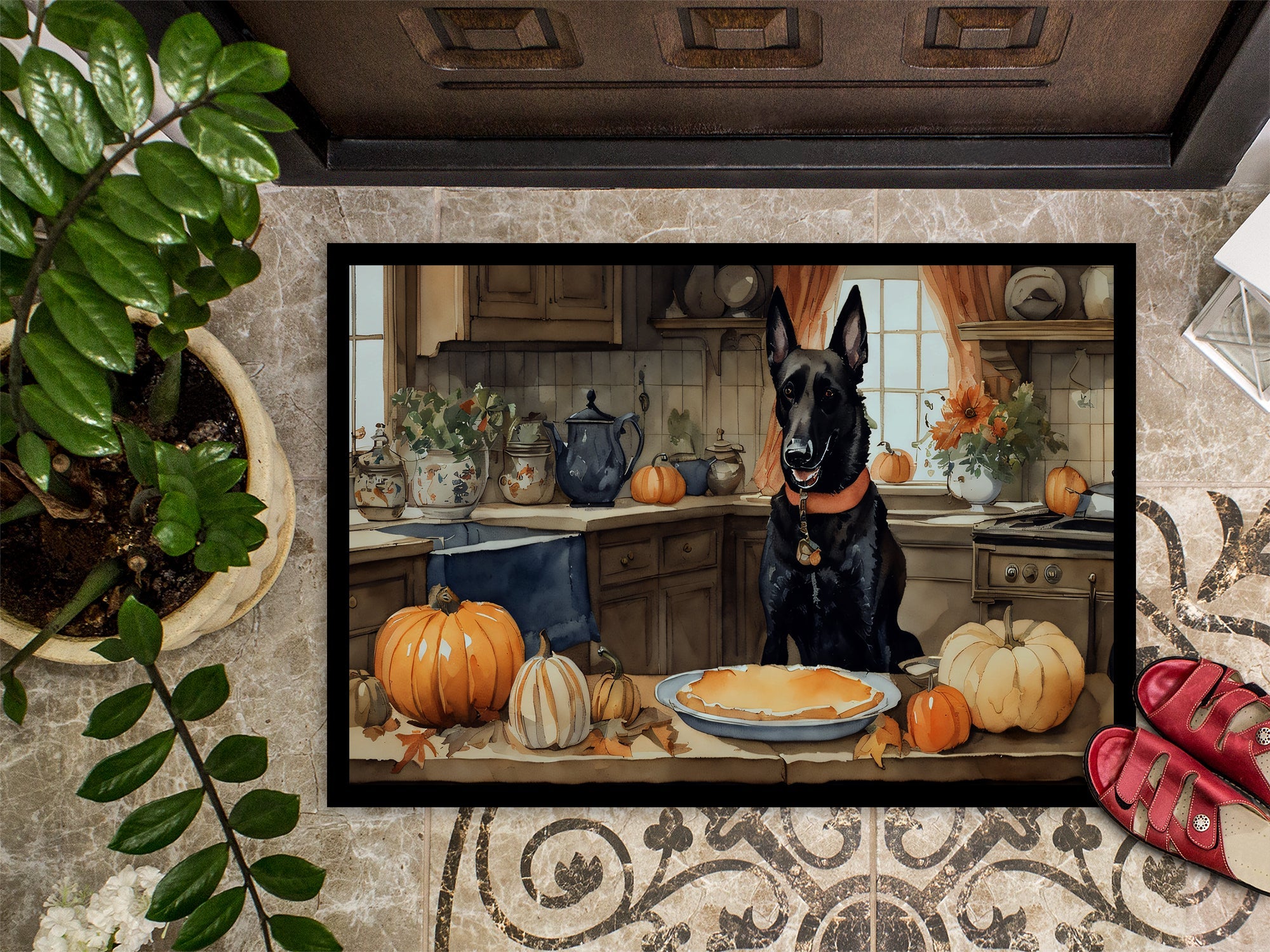 Belgian Malinois Fall Kitchen Pumpkins Doormat Indoor Outdoor 24H X 36W Front Door Mat Rugs for Entryway, Non Slip Washable Low Pile,