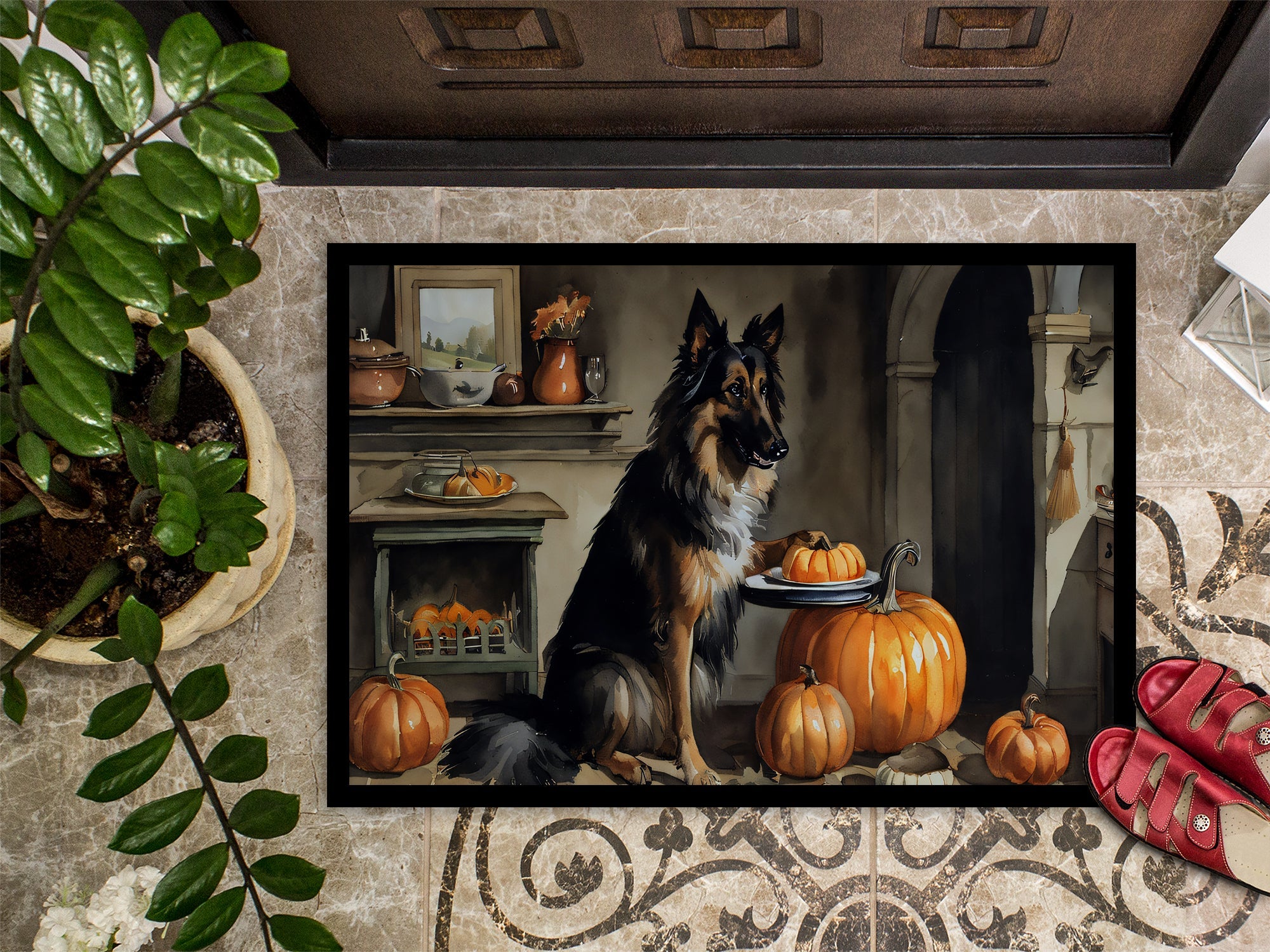 Belgian Tervuren Fall Kitchen Pumpkins Doormat Indoor Outdoor 24H X 36W Front Door Mat Rugs for Entryway, Non Slip Washable Low Pile,