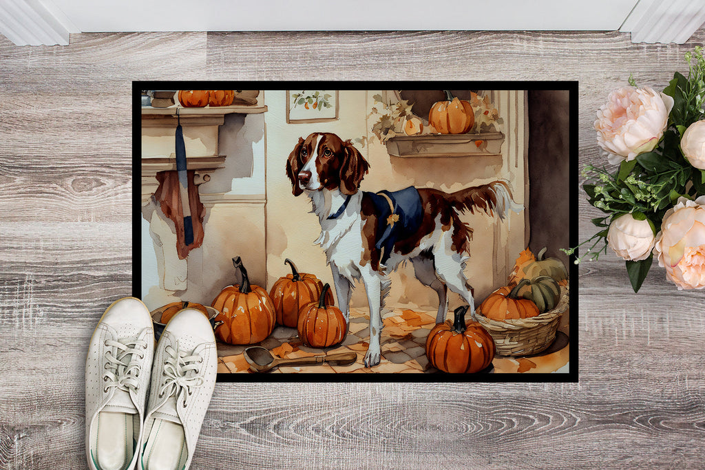 Brittany Fall Kitchen Pumpkins Doormat Indoor Outdoor 24H X 36W Front Door Mat Rugs for Entryway, Non Slip Washable Low Pile,