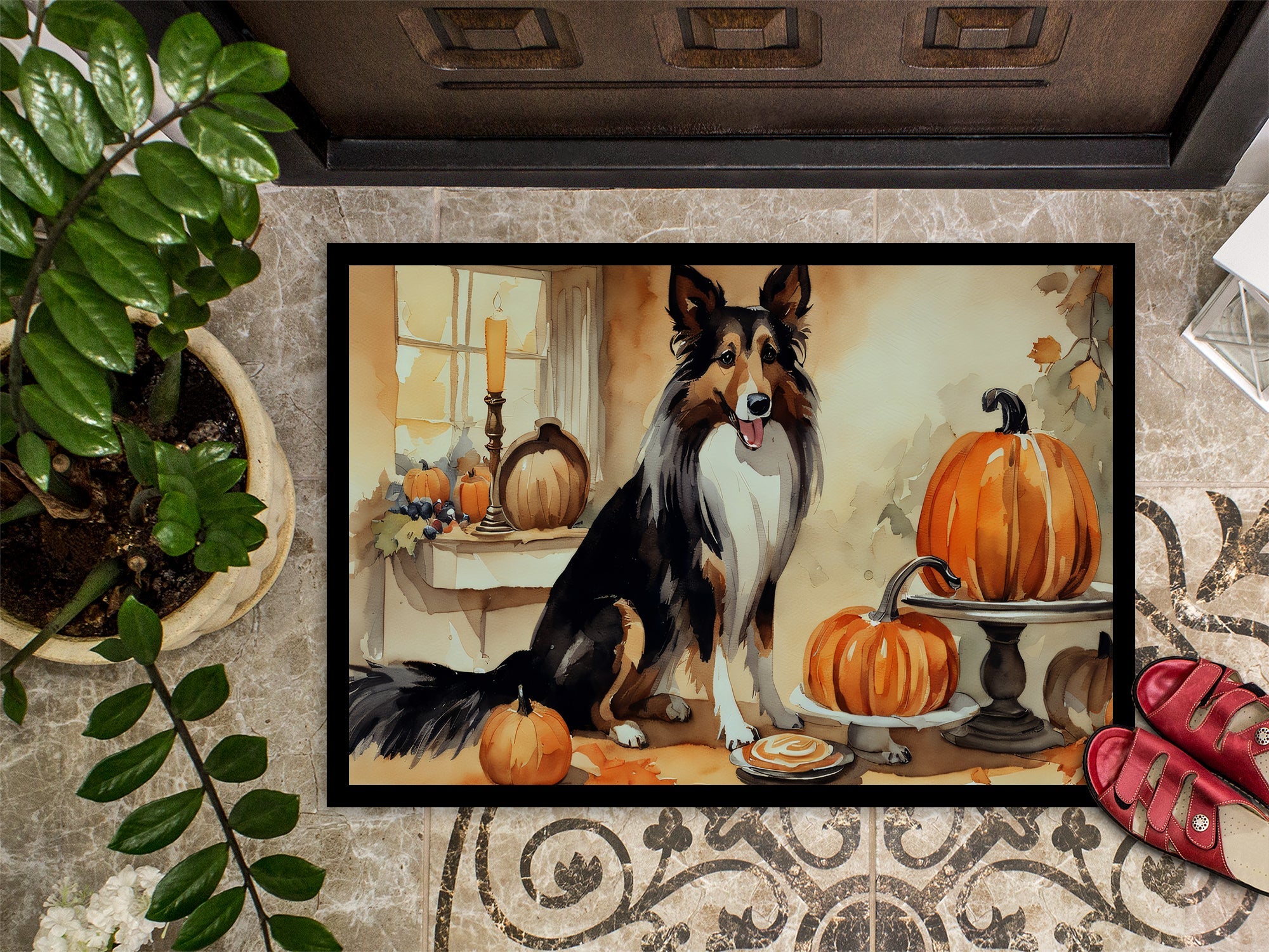 Collie Fall Kitchen Pumpkins Doormat Indoor Outdoor 18H X 27W Front Door Mat Rugs for Entryway, Non Slip Washable