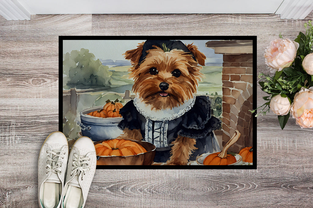 Norfolk Terrier Fall Kitchen Pumpkins Doormat Indoor Outdoor 18H X 27W Front Door Mat Rugs for Entryway, Non Slip Washable