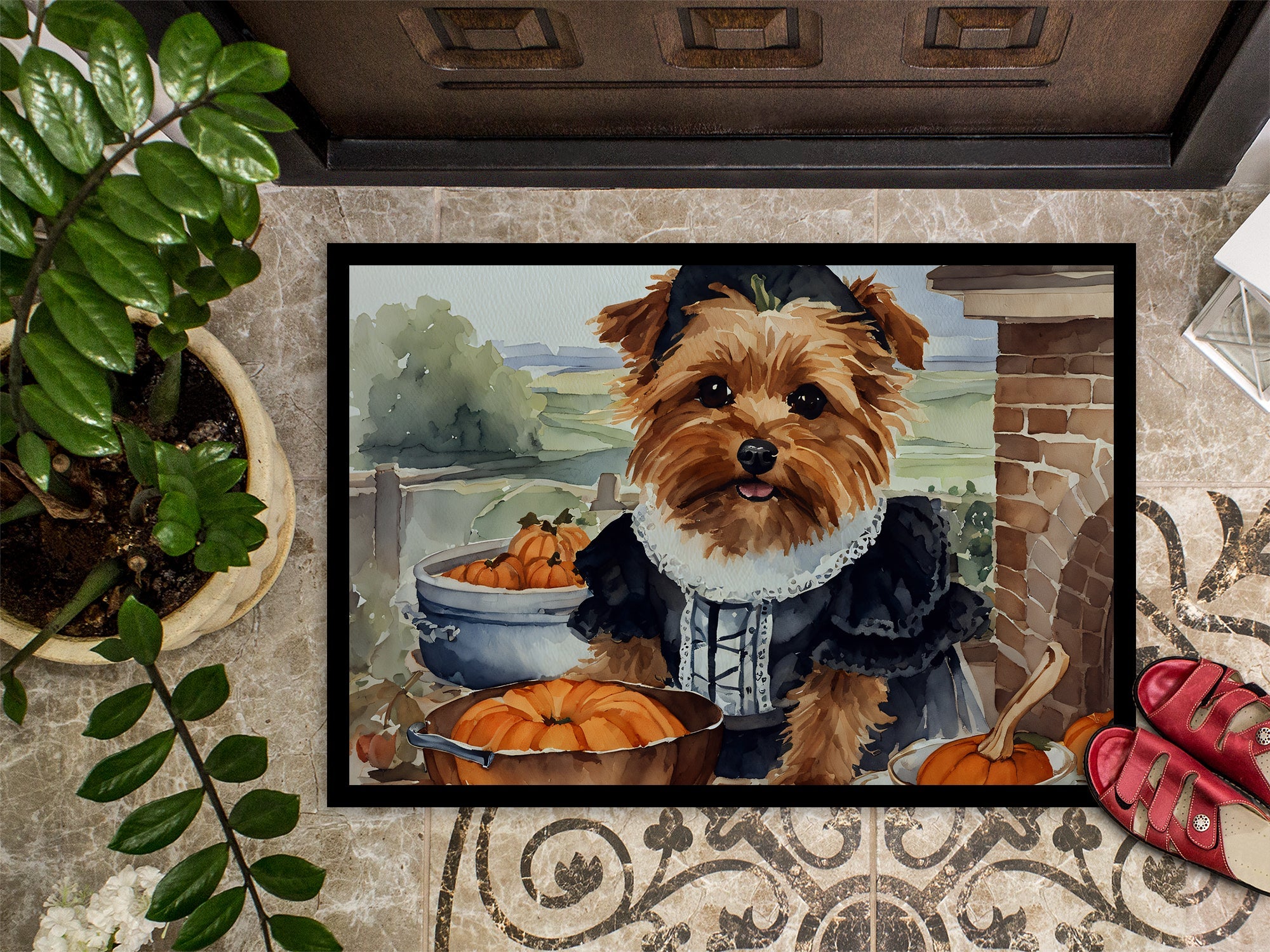 Norfolk Terrier Fall Kitchen Pumpkins Doormat Indoor Outdoor 18H X 27W Front Door Mat Rugs for Entryway, Non Slip Washable