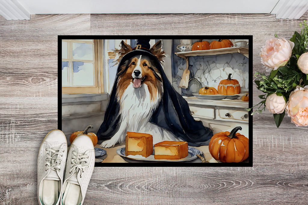 Sheltie Fall Kitchen Pumpkins Doormat Indoor Outdoor 24H X 36W Front Door Mat Rugs for Entryway, Non Slip Washable Low Pile,