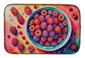 Colorful Raspberries Dish Drying Mat Absorbent Dish Drying Mat Pad for Kitchen Counter Dish Drainer Mat for Countertop, 14 x 21", Multicolor