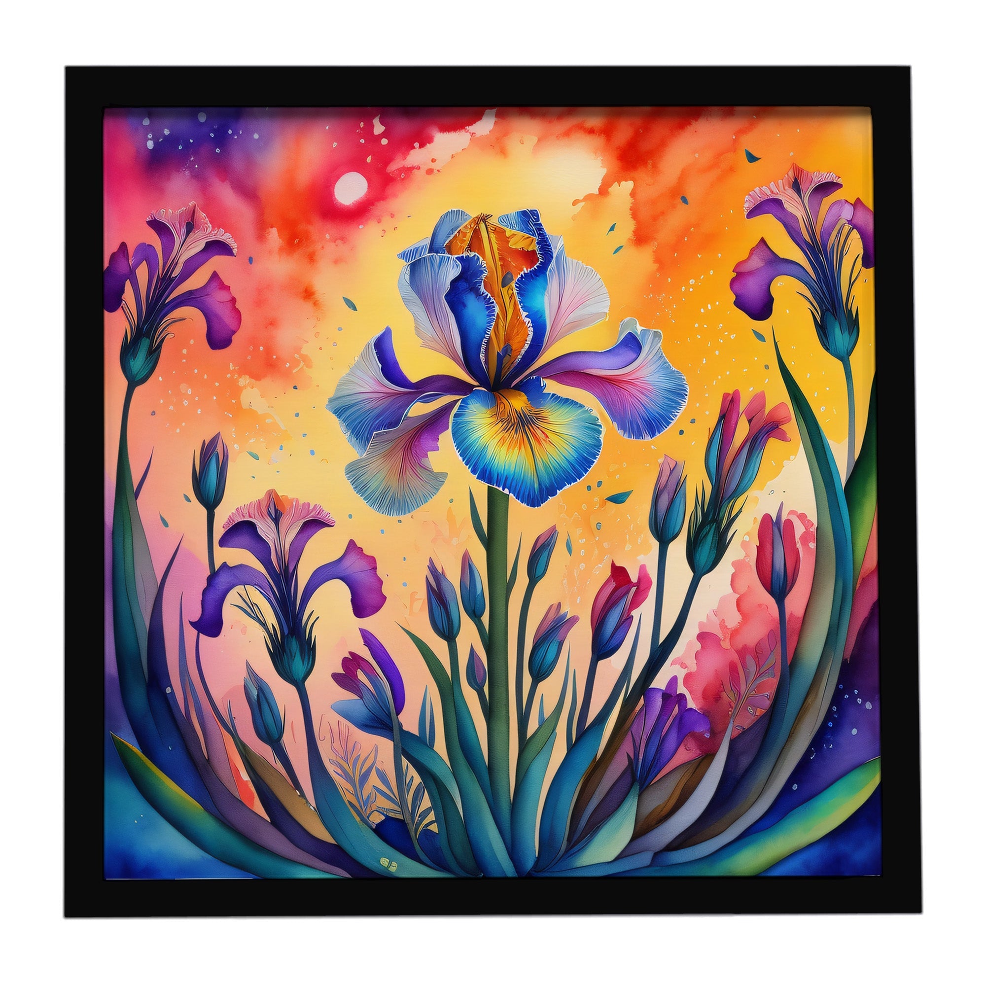 Colorful Iris Framed Metal Print Bathroom, Kitchen, Office, Home Decor Wall Art Ready to Hang, Square, 8X8