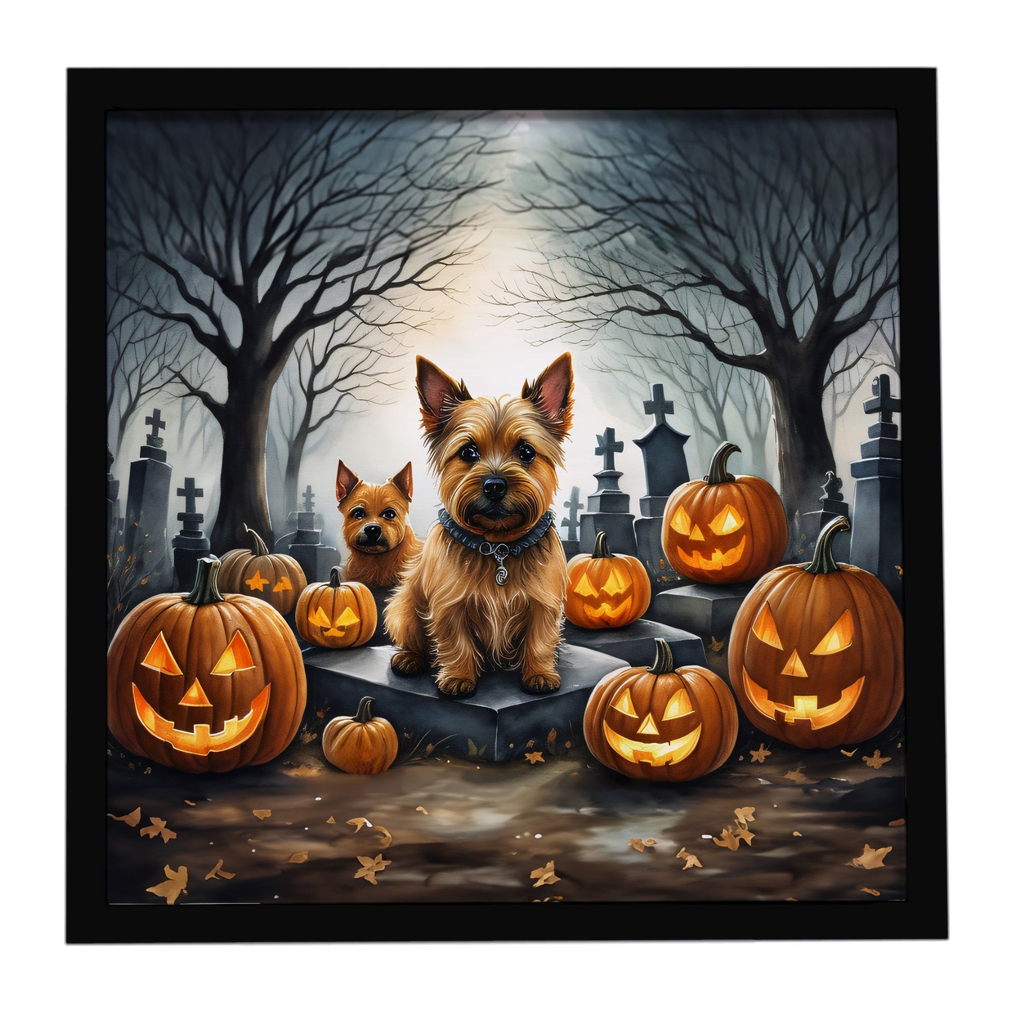 Norwich Terrier Spooky Halloween Framed Metal Print Bathroom, Kitchen, Office, Home Decor Wall Art Ready to Hang, Square, 8X8