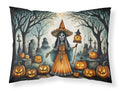 La Llorona Skeleton Spooky Halloween Standard Pillowcase Lightweight Super Soft Easy Care Decorative Artwork Pillowcase, Standard