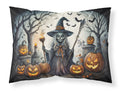 Witch Spooky Halloween Standard Pillowcase Lightweight Super Soft Easy Care Decorative Artwork Pillowcase, Standard
