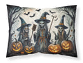 Witches Spooky Halloween Standard Pillowcase Lightweight Super Soft Easy Care Decorative Artwork Pillowcase, Standard