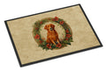 Nova Scotia Duck Tolling Retriever Christmas Flowers Doormat Indoor Outdoor 24H X 36W Front Door Mat Rugs for Entryway, Non Slip Washable Low Pile,