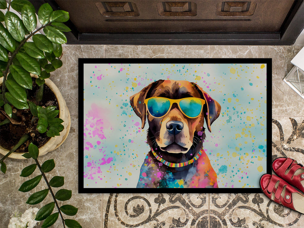 Chocolate Labrador Hippie Dawg Doormat Indoor Outdoor 18H X 27W Front Door Mat Rugs for Entryway, Non Slip Washable