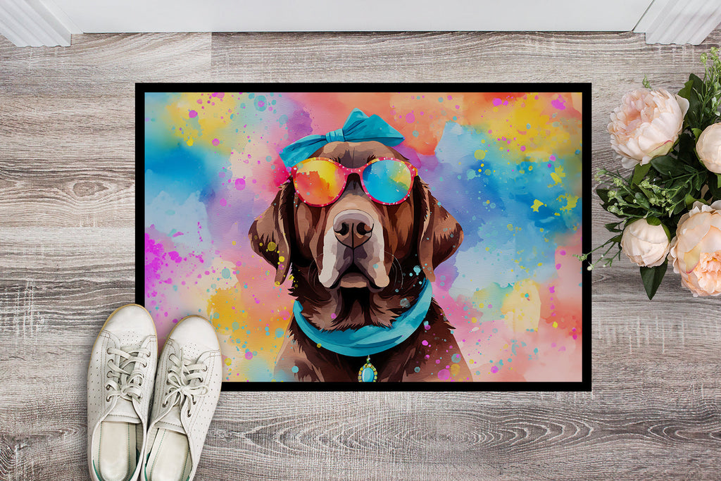 Chocolate Labrador Hippie Dawg Doormat Indoor Outdoor 18H X 27W Front Door Mat Rugs for Entryway, Non Slip Washable