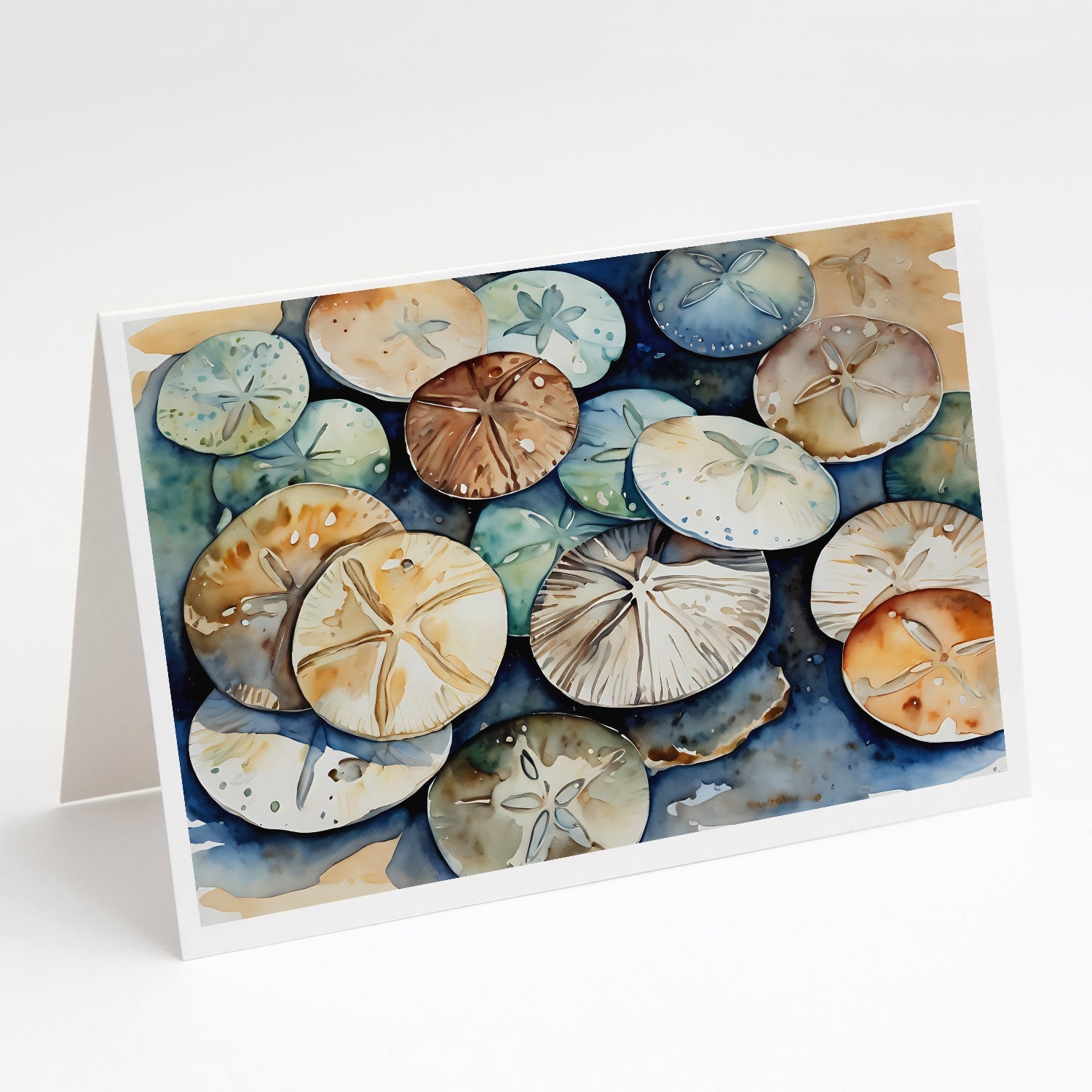 Sand Dollars Greeting Cards Pack of 8 Blank Cards with Envelopes Whimsical A7 Size 5x7
