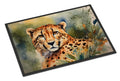 Cheetah Doormat Indoor Outdoor 24H X 36W Front Door Mat Rugs for Entryway, Non Slip Washable Low Pile,