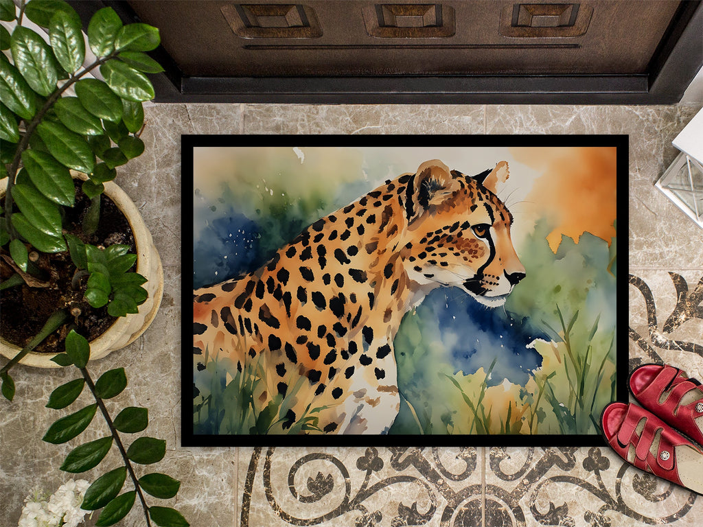 Cheetah Doormat Indoor Outdoor 24H X 36W Front Door Mat Rugs for Entryway, Non Slip Washable Low Pile,