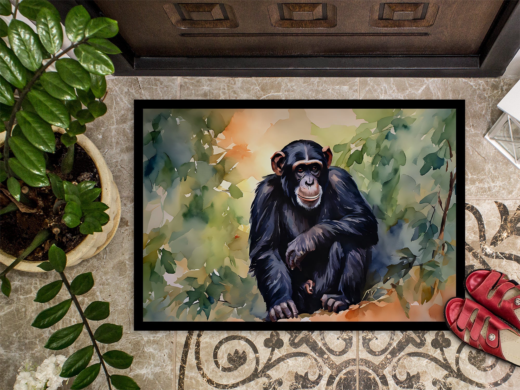 Chimpanzee Doormat Indoor Outdoor 18H X 27W Front Door Mat Rugs for Entryway, Non Slip Washable