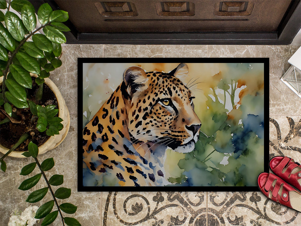Leopard Doormat Indoor Outdoor 24H X 36W Front Door Mat Rugs for Entryway, Non Slip Washable Low Pile,
