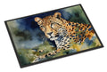 Leopard Doormat Indoor Outdoor 18H X 27W Front Door Mat Rugs for Entryway, Non Slip Washable