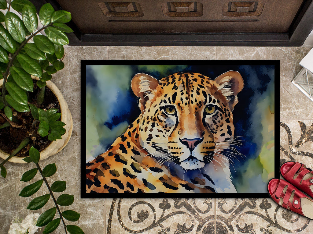 Leopard Doormat Indoor Outdoor 18H X 27W Front Door Mat Rugs for Entryway, Non Slip Washable