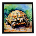 Turtles Tortoises Framed Metal Print Bathroom, Kitchen, Office, Home Decor Wall Art Ready to Hang, Square, 8X8