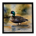 Mallard Duck Shoreline Framed Metal Print Bathroom, Kitchen, Office, Home Decor Wall Art Ready to Hang, Square, 8X8
