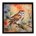 Perched Owl Woodland Wildlife Framed Metal Print Bathroom, Kitchen, Office, Home Decor Wall Art Ready to Hang, Square, 8X8