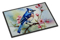 Blue Jay on Blossom Branch Doormat Indoor Outdoor 24H X 36W Front Door Mat Rugs for Entryway, Non Slip Washable Low Pile,