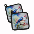 Blue Jay on Blossom Branch Pot Holder Set of 2 Heat Resistant Quilted Hot Pads 7.5 x 7.5 Inch, Insulated Kitchen Trivets for Cooking & Baking