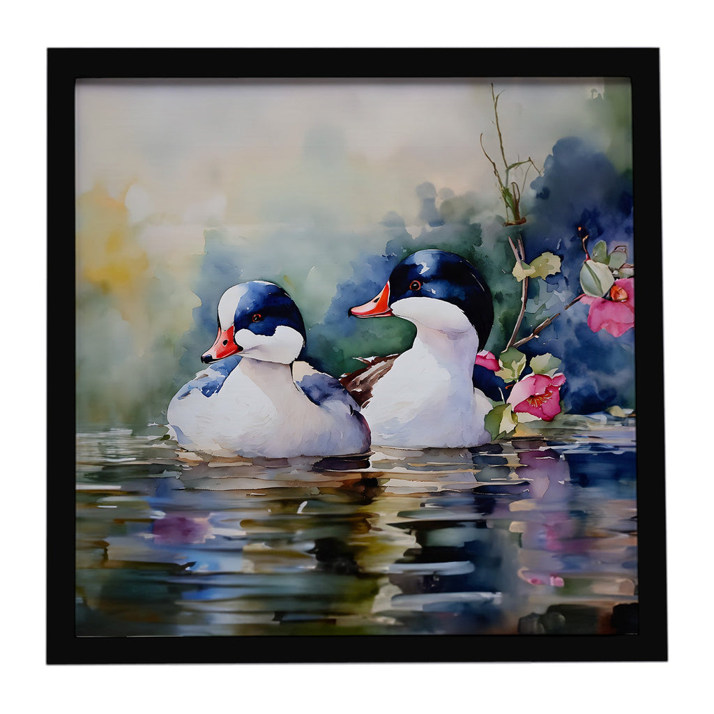 Bufflehead Hooded Merganser Pair Swimming Framed Metal Print Bathroom, Kitchen, Office, Home Decor Wall Art Ready to Hang, Square, 8X8