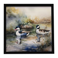 Bufflehead Ducks Swimming Marsh Scene Framed Metal Print Bathroom, Kitchen, Office, Home Decor Wall Art Ready to Hang, Square, 8X8