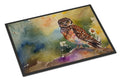 Burrowing Owl Wildlife Portrait Doormat Indoor Outdoor 18H X 27W Front Door Mat Rugs for Entryway, Non Slip Washable