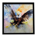 Bald Eagle Flying Wings Spread Framed Metal Print Bathroom, Kitchen, Office, Home Decor Wall Art Ready to Hang, Square, 8X8