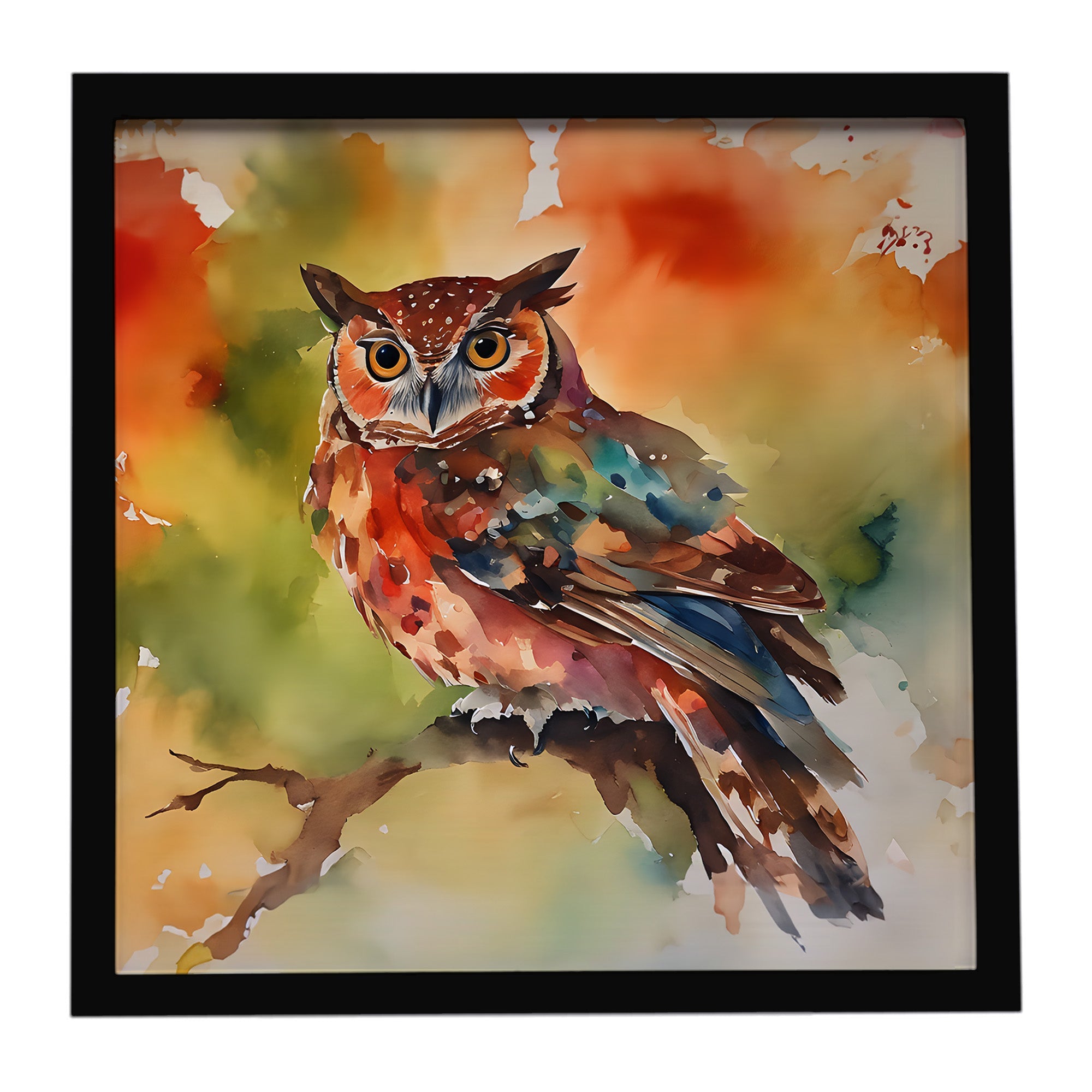 Elf Owl Perched Branch Framed Metal Print Bathroom, Kitchen, Office, Home Decor Wall Art Ready to Hang, Square, 8X8