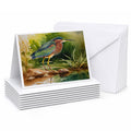 Green Heron Standing Shoreline Greeting Cards Pack of 8 Blank Cards with Envelopes Whimsical A7 Size 5x7