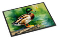 Mallard Duck Standing Pond Edge Doormat Indoor Outdoor 18H X 27W Front Door Mat Rugs for Entryway, Non Slip Washable
