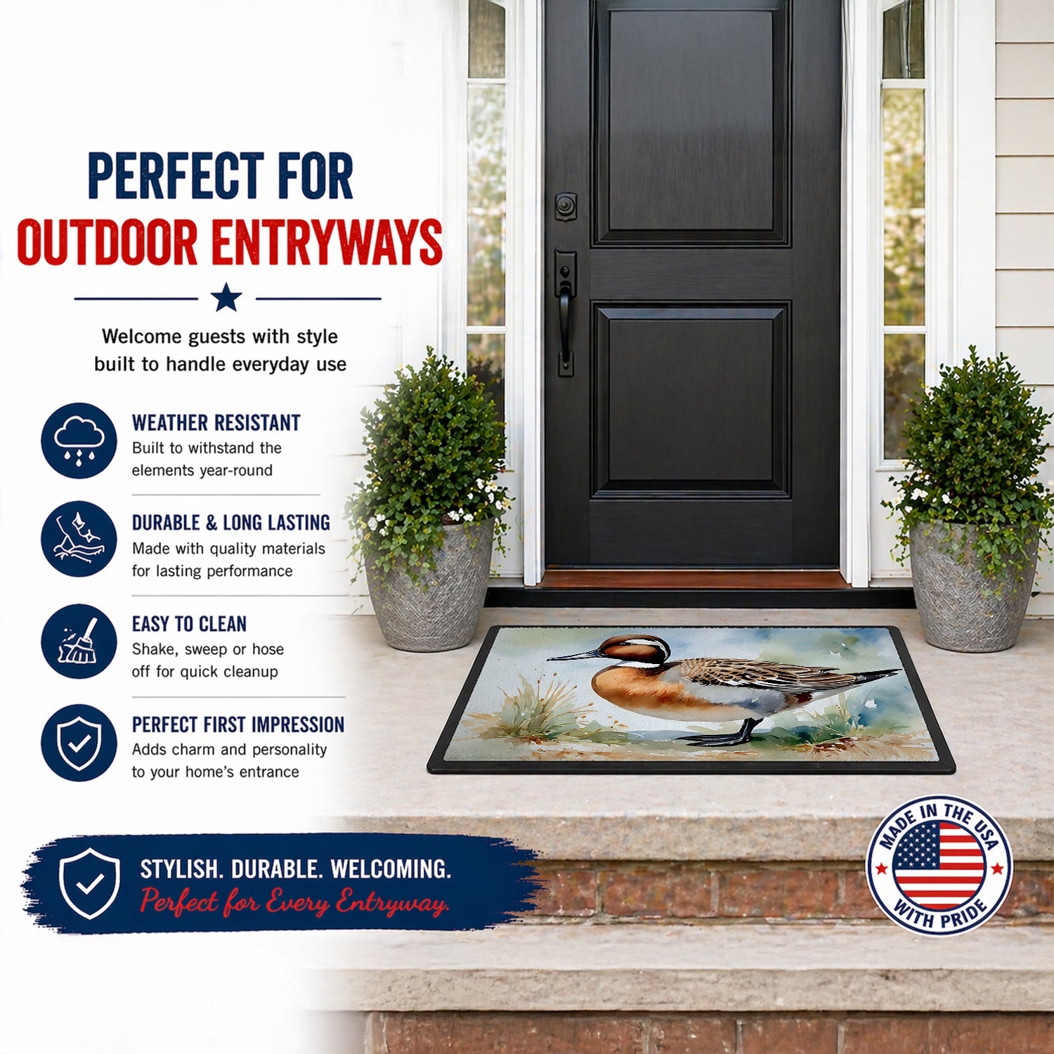 Northern Pintail Duck Standing Shore Doormat Indoor Outdoor 24H X 36W Front Door Mat Rugs for Entryway, Non Slip Washable Low Pile,