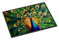Peacock Full Feather Display Vibrant Doormat Indoor Outdoor 24H X 36W Front Door Mat Rugs for Entryway, Non Slip Washable Low Pile,
