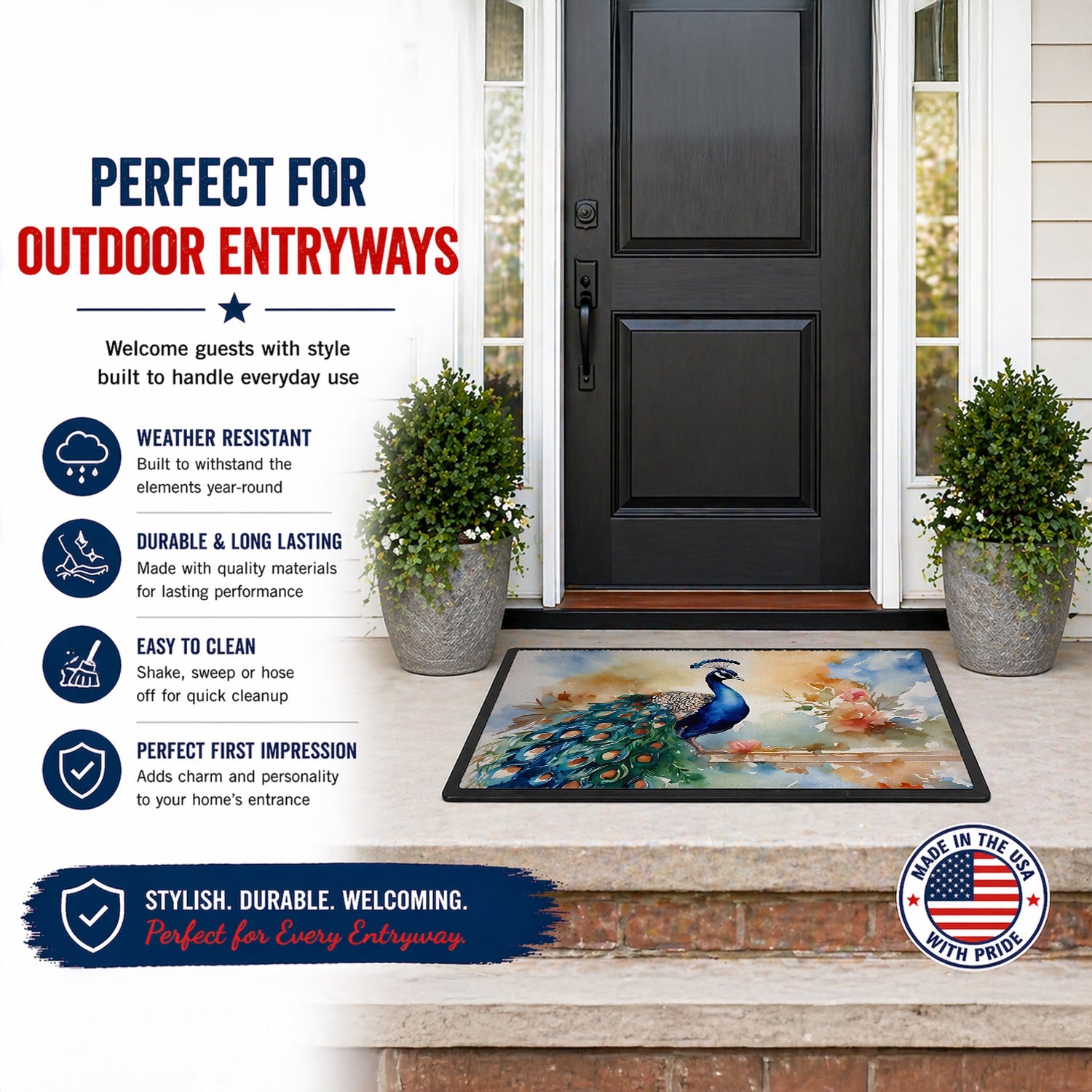 Peacock Tail Feathers Close View Doormat Indoor Outdoor 18H X 27W Front Door Mat Rugs for Entryway, Non Slip Washable