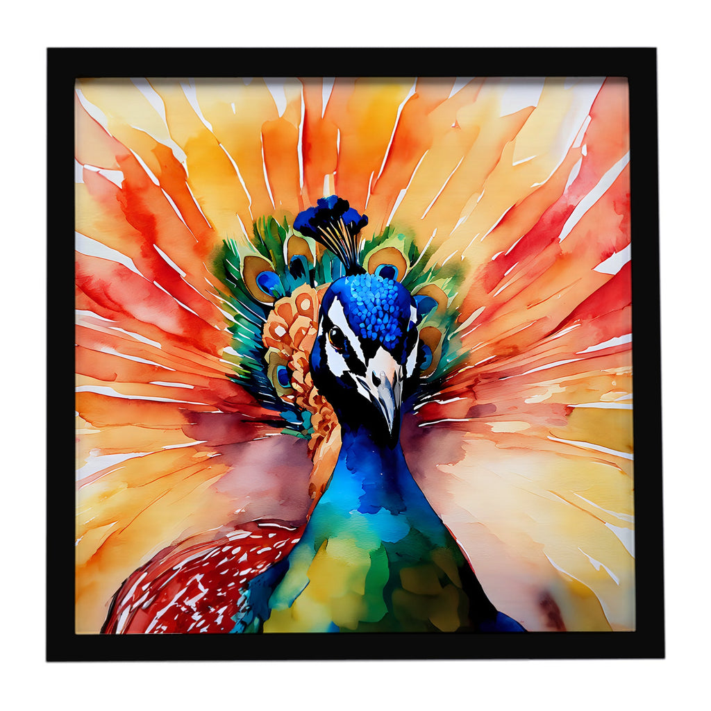 Peacock Front View Dramatic Color Framed Metal Print Bathroom, Kitchen, Office, Home Decor Wall Art Ready to Hang, Square, 8X8