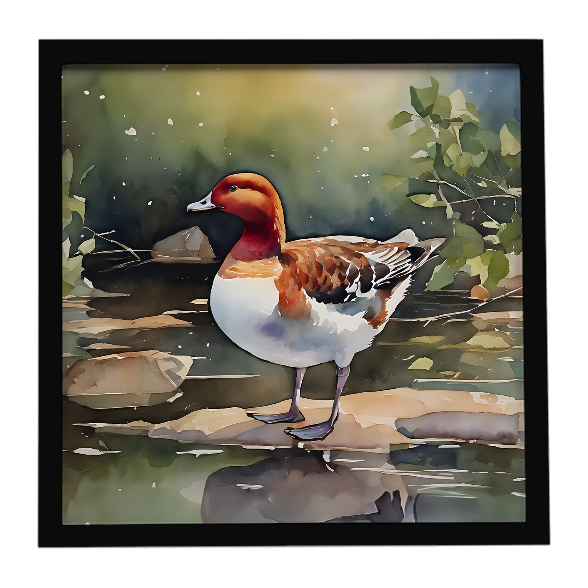 Redhead Duck Standing by Water Framed Metal Print Bathroom, Kitchen, Office, Home Decor Wall Art Ready to Hang, Square, 8X8